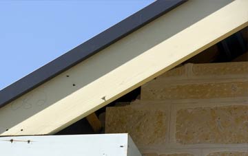 Padog fascia repairs