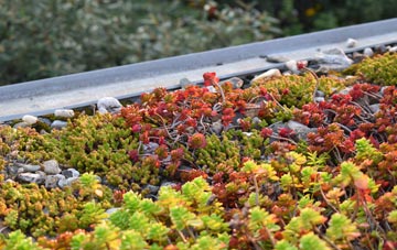 the cost of Padog green roof installation