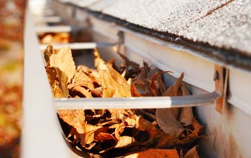 Padog gutter cleaning companies