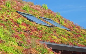 Padog living roof systems