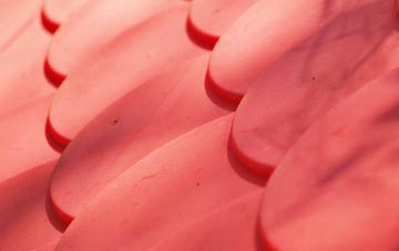 Padog plastic roof costs