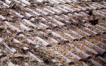 Padog roof cleaning companies