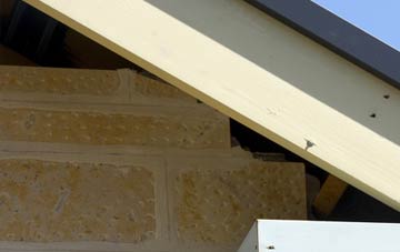 soffit repair Padog