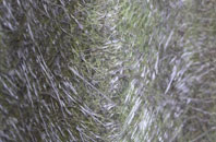 Padog fibreglass roof work